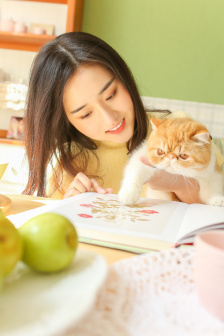 夫人的后花园需要园丁翻译